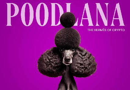 Poodlana investing