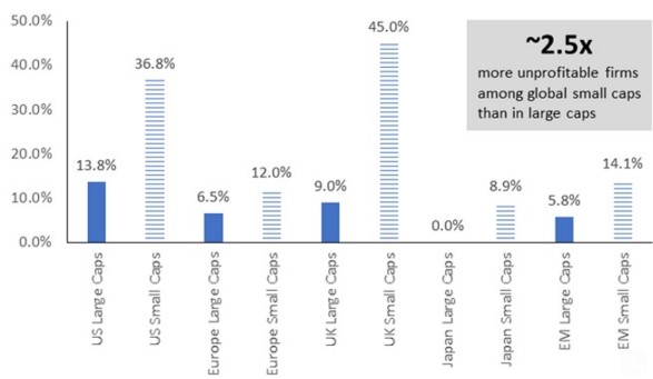 Small en midcaps aandelen