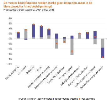 Productiviteit nederlandse bedrijven per sector